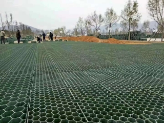 植草格