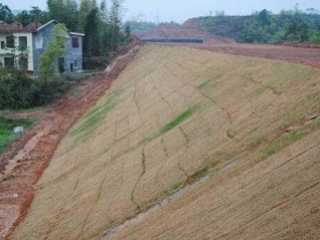 抗冲击生物毯